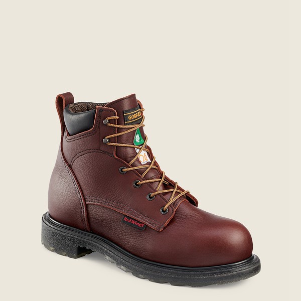 Mens Red Wing Supersole® 2.0 - 6-inch Waterproof Csa Toe - Safety Boots Burgundy - HFJ516793